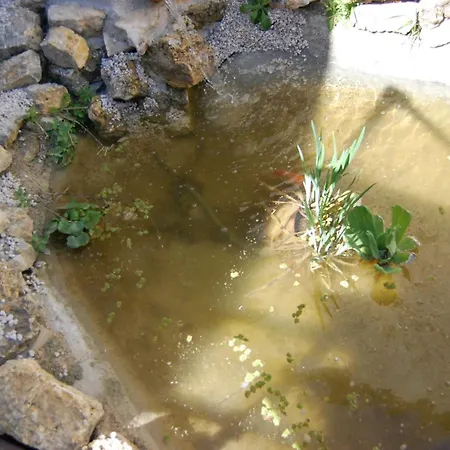 Le Paradis Cache Apartment Causses-et-Veyran